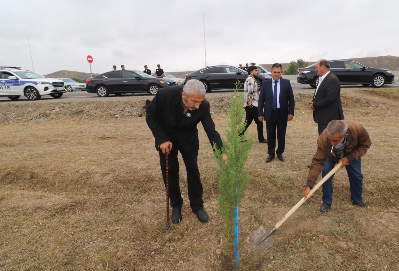 Qazaxda ağacəkmə aksiyası keçirildi - FOTOLAR